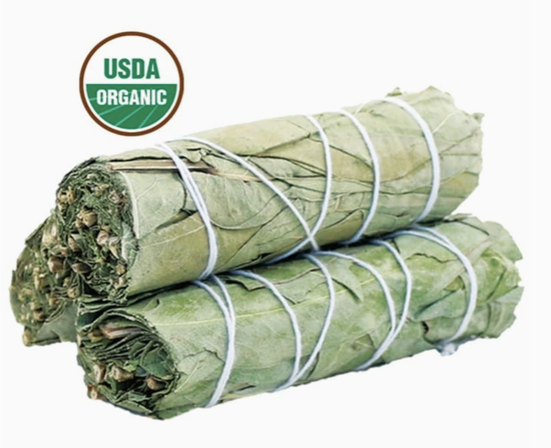 Eucalyptus Sage Smudge Stick (4 inch)