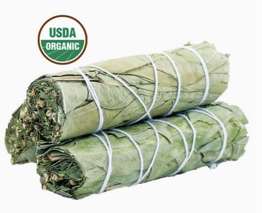 Eucalyptus Sage Smudge Stick (4 inch)