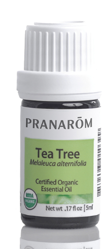 Tea Tree Essential Oil