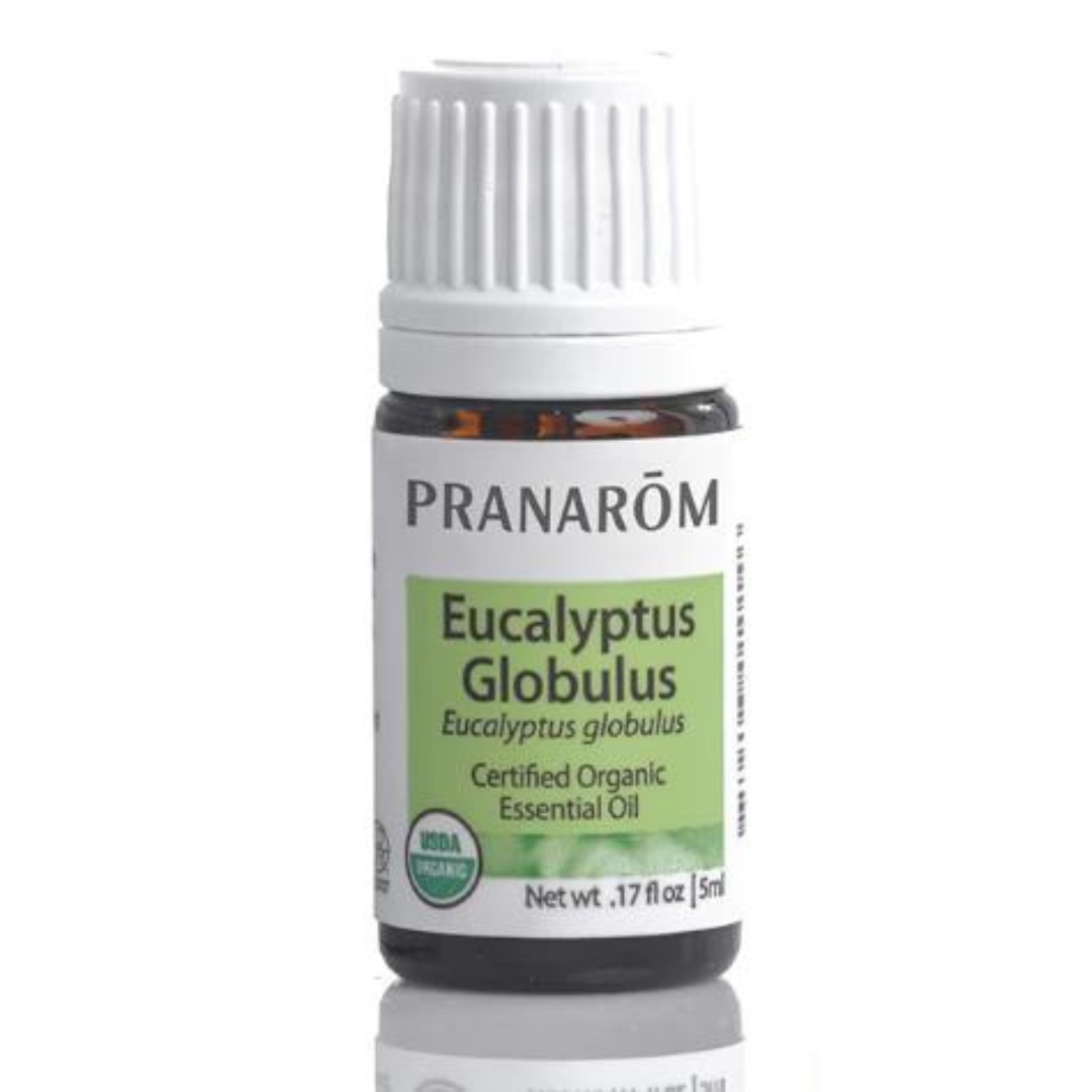 Eucalyptus Globulus Essential Oil